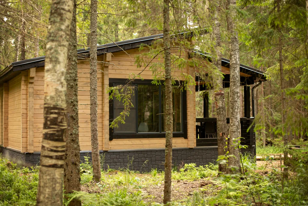 Дом в лесу на Валдае