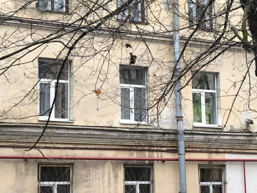 Квартира Уютная и бюджетная квартира в самом центре города — Санкт-Петербург