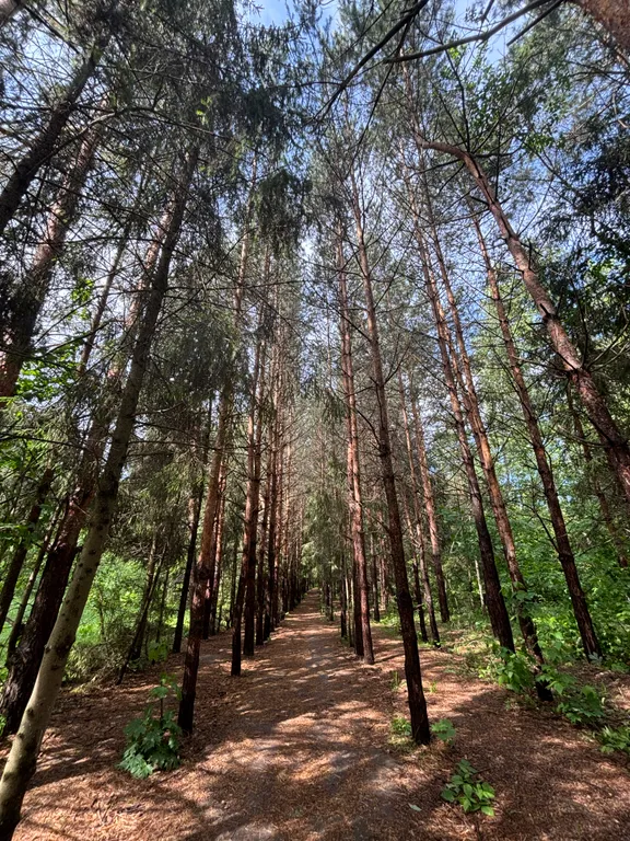 Квартира Новая квартира с видом на лес возле экопарка дубрава — Казань