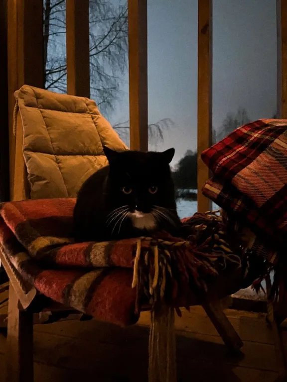 Коттедж Дом с русской баней Valent tiny для праздника или релакса — Подолино