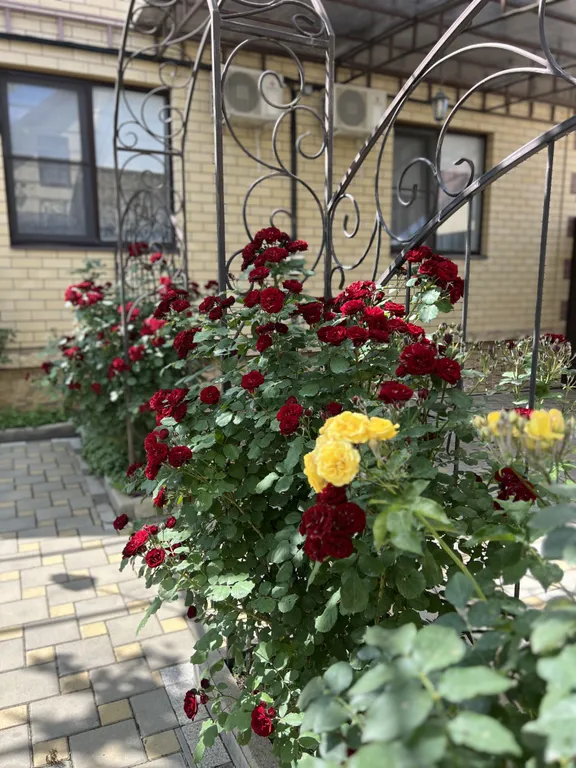 Загородный дом 5 спален с бассейном и большой территорией