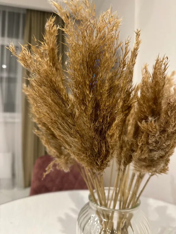 Квартира Квартира на Высоком берегу — Анапа