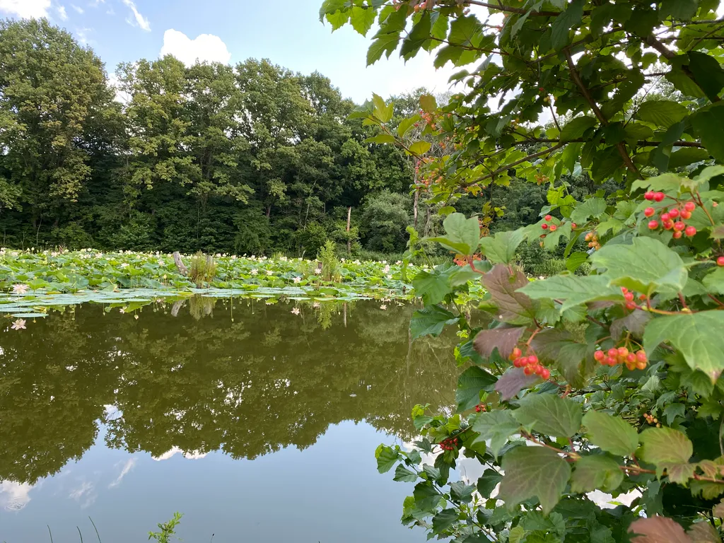 4-комнатный Дом