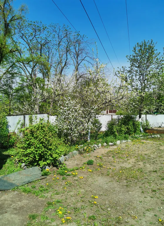 Уютный загородный дом с красивой благоустроенной территорией.