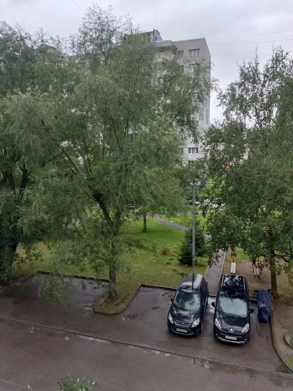 Квартира Уютная квартира в центре — Калининград