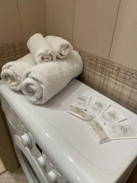 Уютная студия с видом на центр города и зеленую рощу