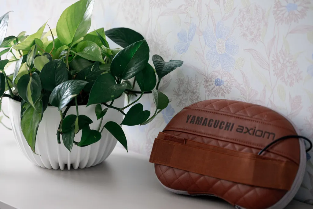 Домик с видом на горы Бештау Премиум