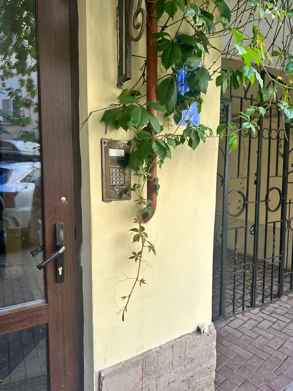 Квартира у Дворцовой площади с возможностью раннего заезда