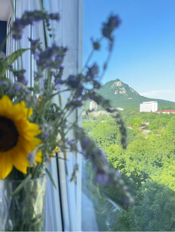 Апартаменты с видом на гору