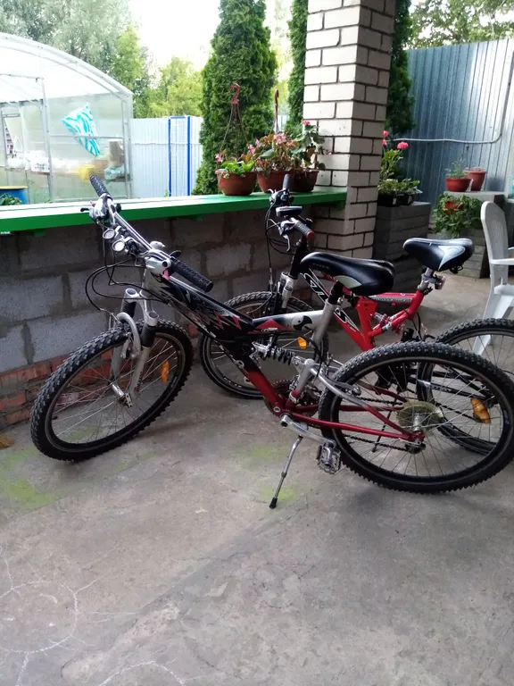 Коттедж в Царевщине