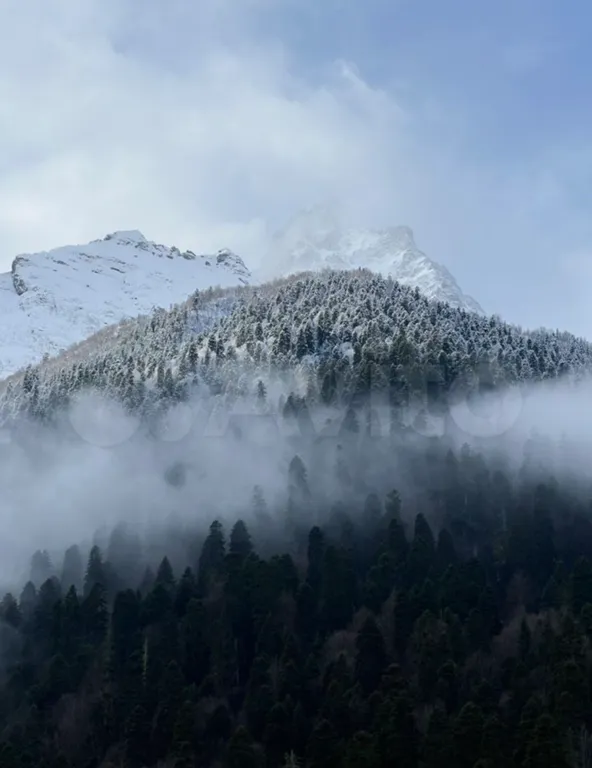 Уютная студия в центре