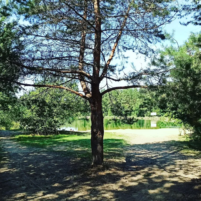 Коттедж Дом с батутом и видом на сад — Беседы