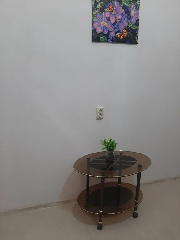 Квартира в центре с видом на Дон