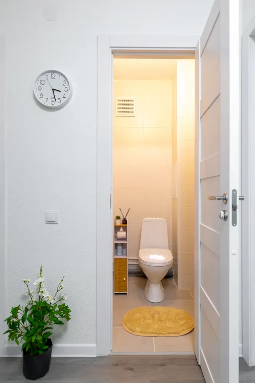 Просторная уютная однокомнатная квартира