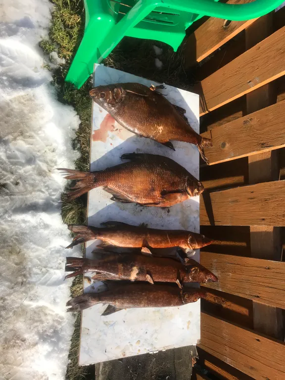 Коттедж Гостевой дом Березово 17 — Березово