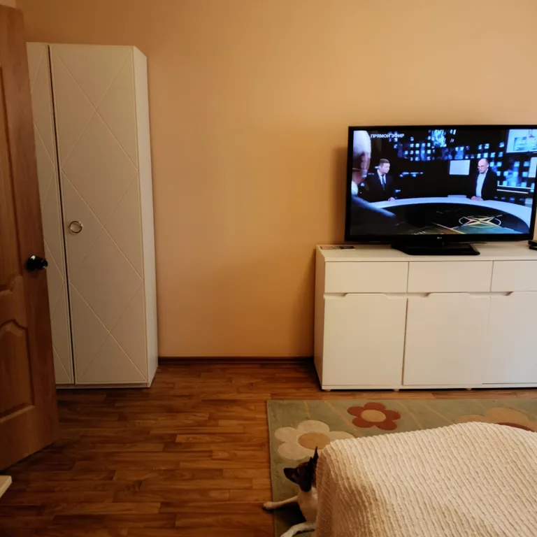 Квартирка в сосновом бору в центре