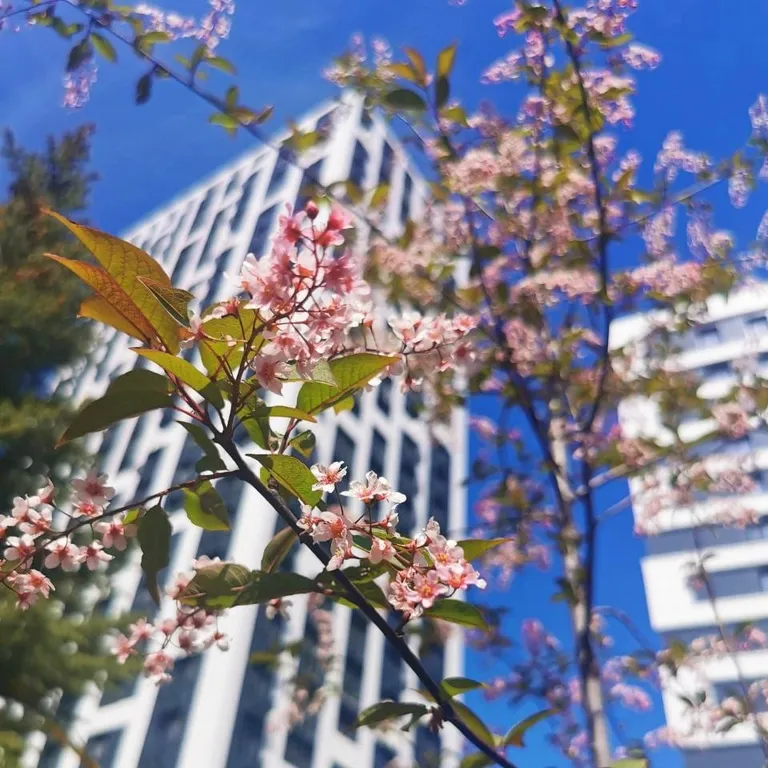 Роскошная квартира пентхаус с 4 метровыми потолками с видом