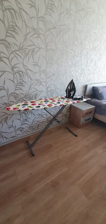 Квартира 1 комнатная квартира с террасой — Светлогорск