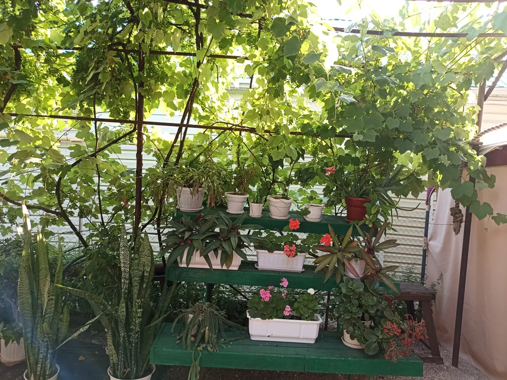 Дом для летнего отдыха