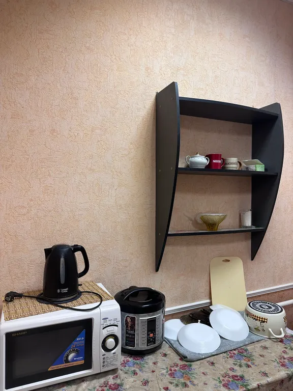 Большая квартира возле Приморского парка