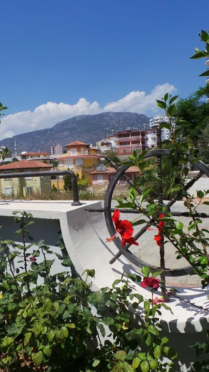 Просторные апартаменты