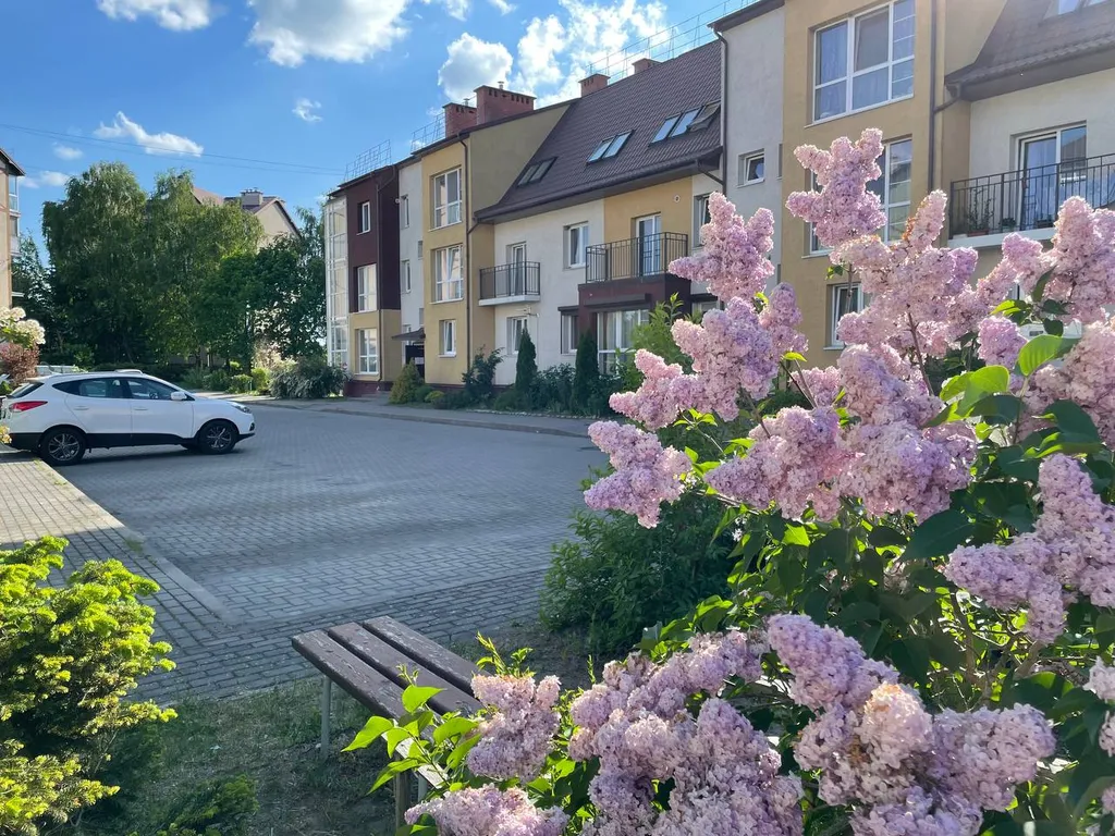 Загородная + мангальная зона