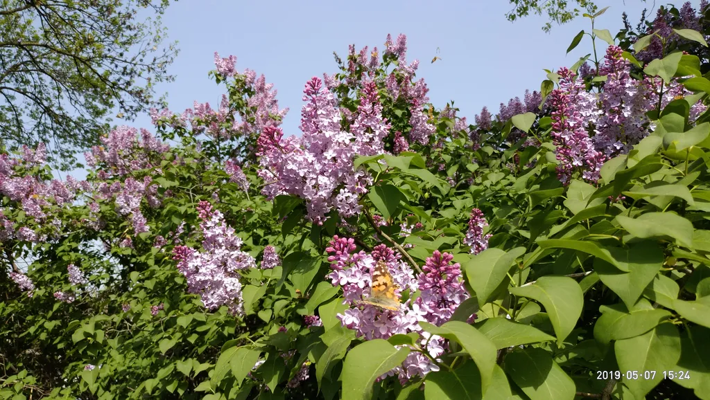 1-комнатная квартира в частном доме