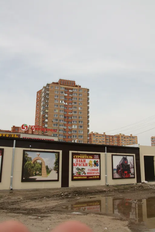 Северная звезда