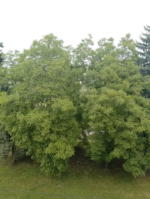 Квартира в лучшем районе