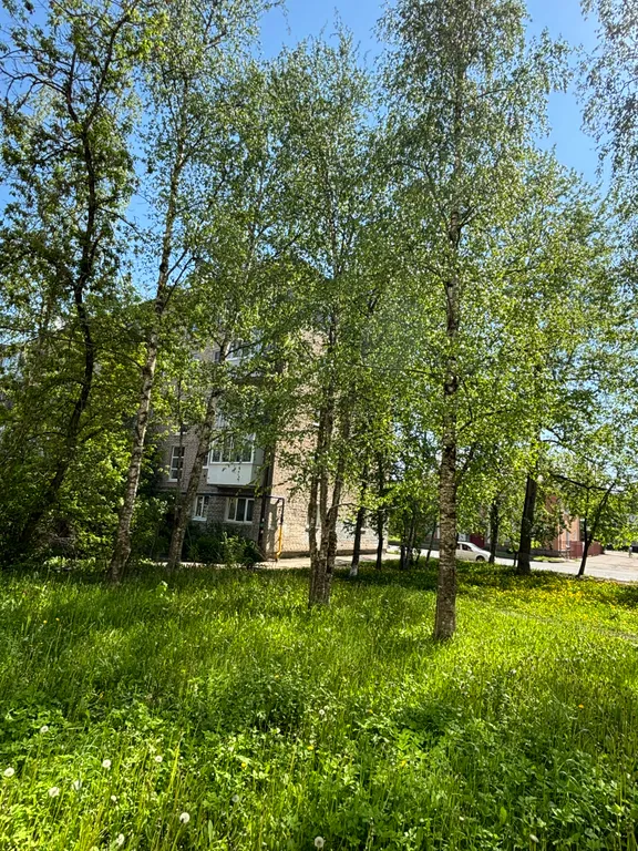 2-комнатная квартира в центре города