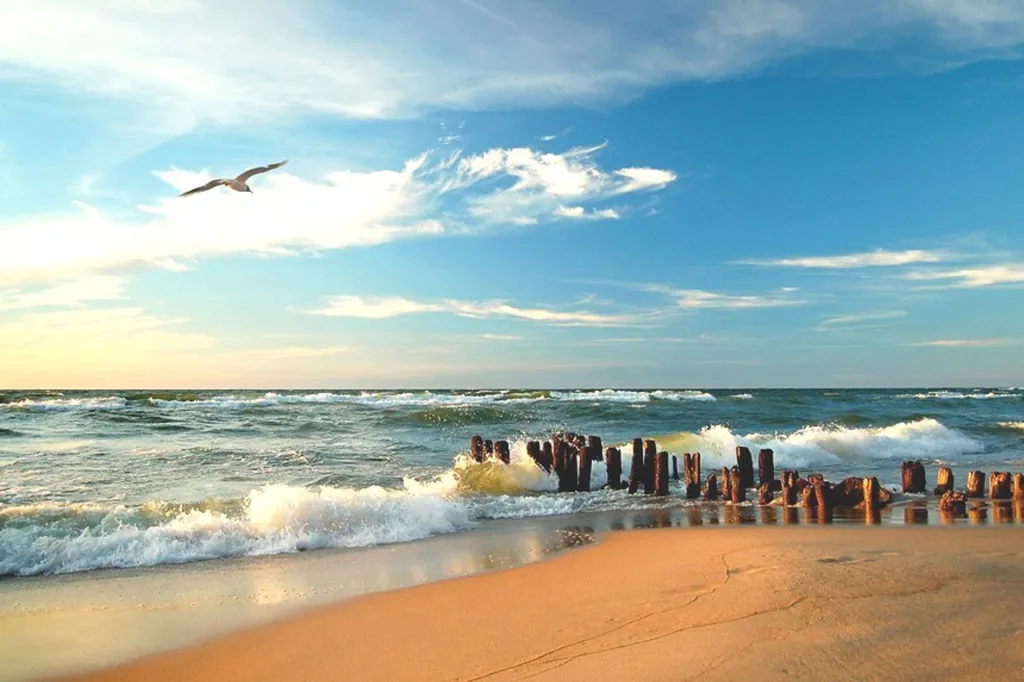 Вилла Морская - уютный дом с бассейном на берегу Балтийского моря