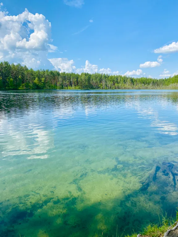 Уютный дом для вашего отдыха