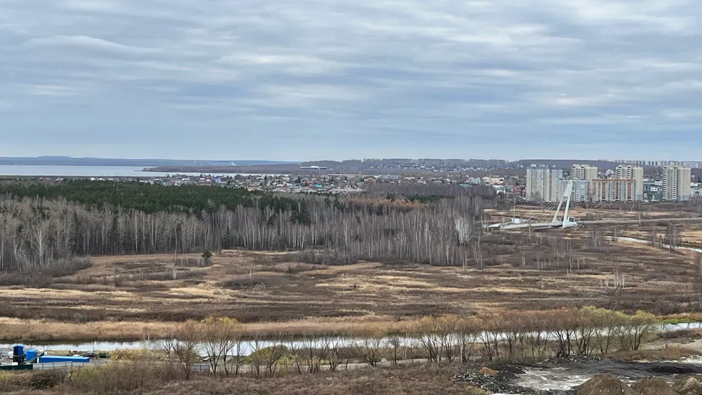 Уютная студия с видом на реку и лесной бор