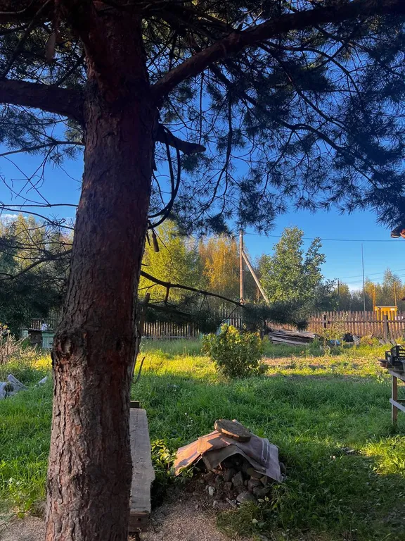 Уютный бревенчатый двухэтажный дом