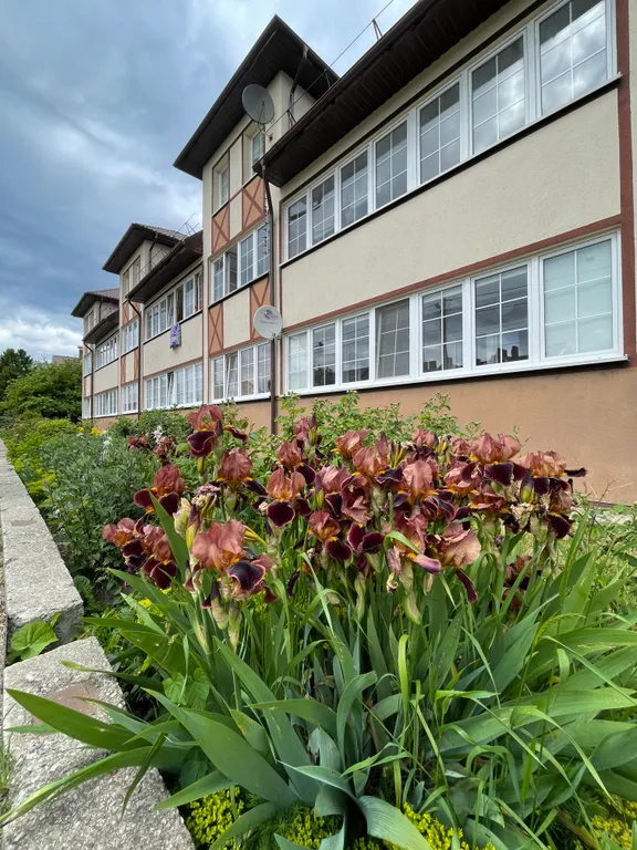 Квартира 1-комнатная Квартира — Пионерский