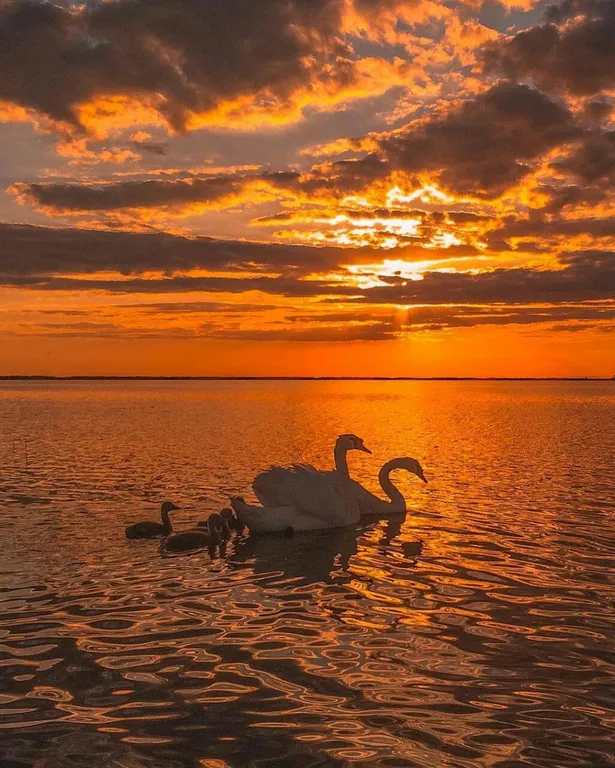 Отдых в золотых песках Крыма