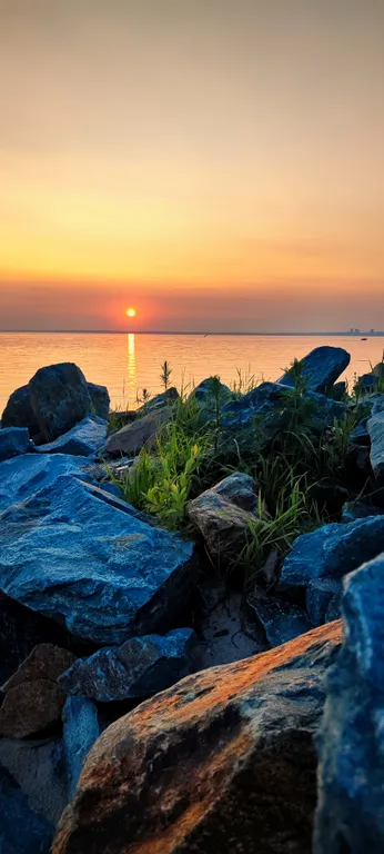 Квартира в сосновом бору у моря Обского