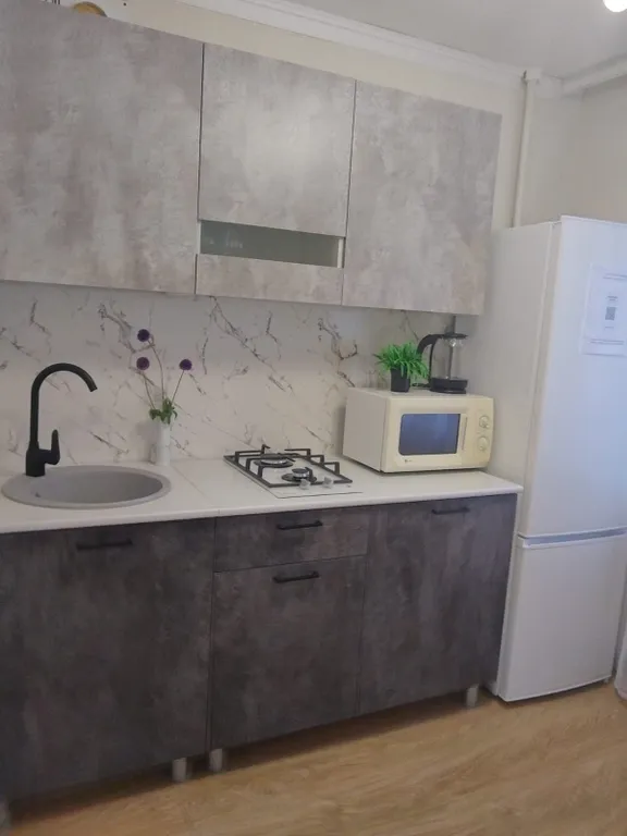 Студия с видом на парк