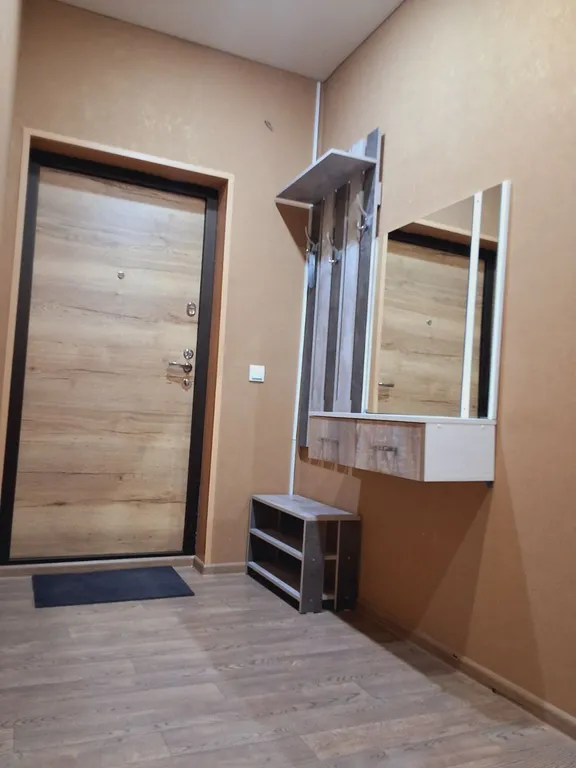 Просторная однокомнатная квартира