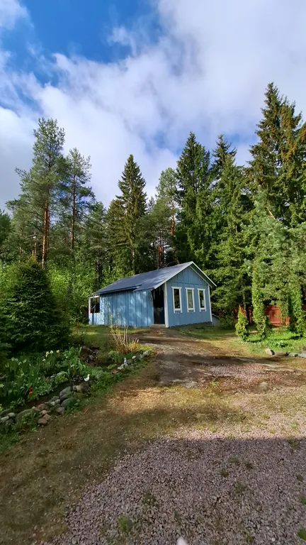 Уютный лесной домик