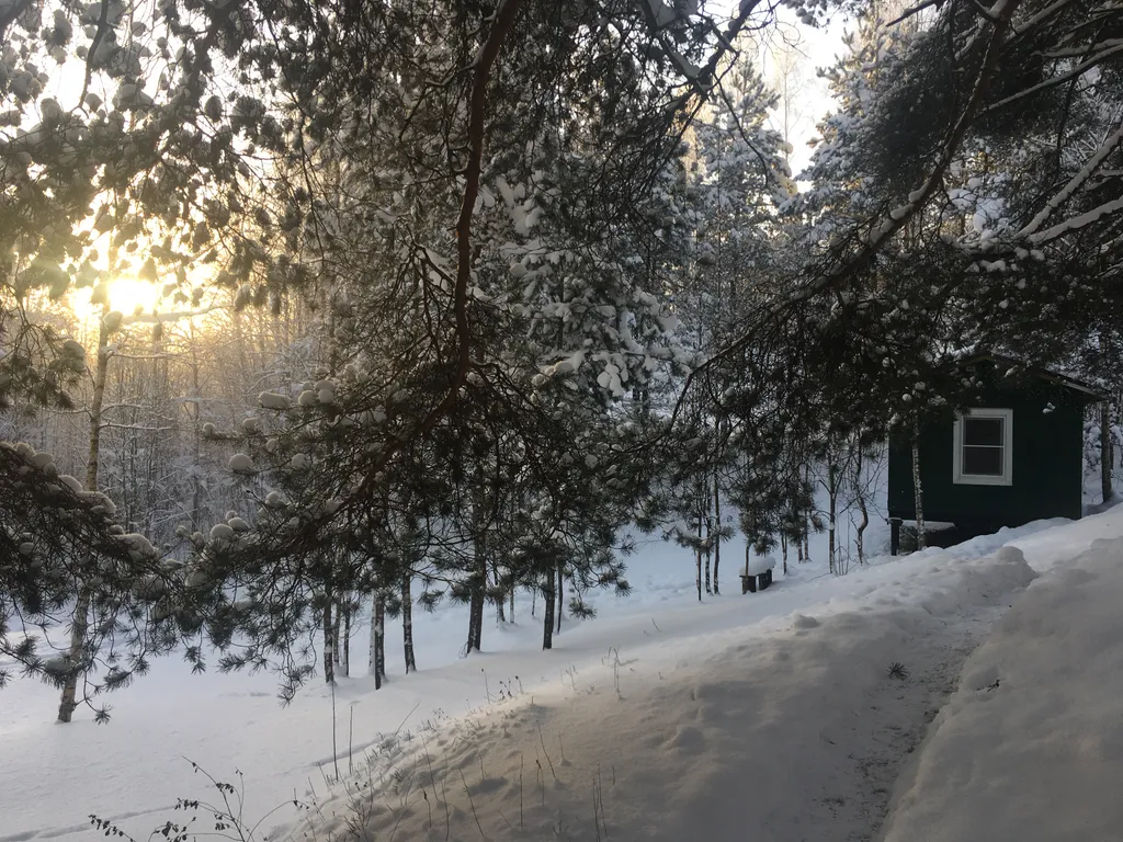 Домик в Токсово