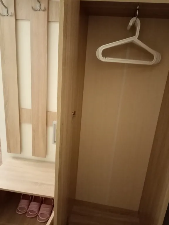 Двухкомнатная квартира в историческом центре Петербурга