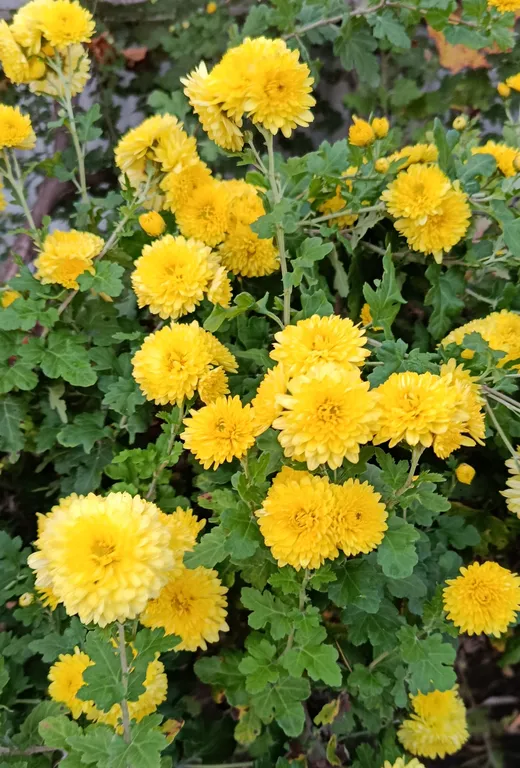 Двухкомнатные апартаменты на берегу моря