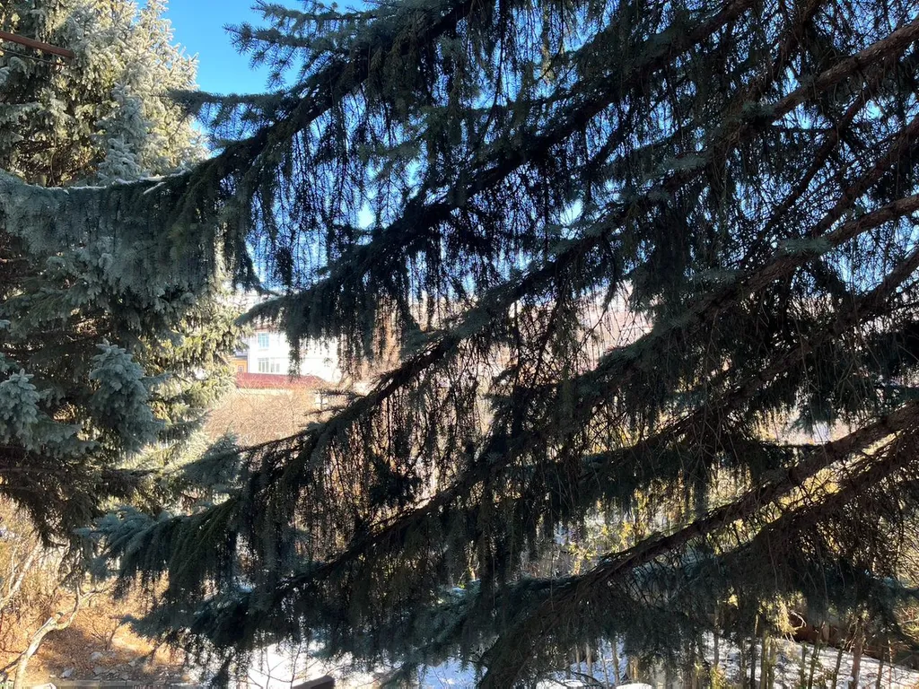 Уютная квартира — аренда посуточно в Кисловодск