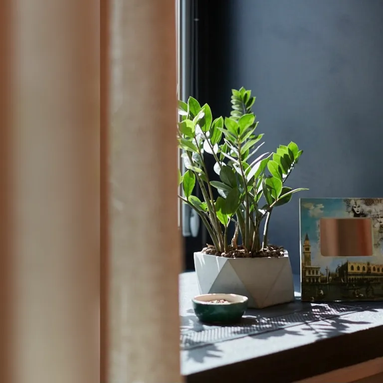 Квартира в центре древней столицы