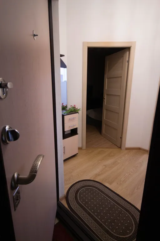 1-комнатная квартира у Меги