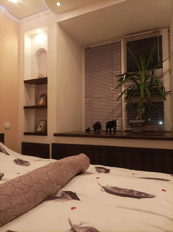 Домашний уют и большая квартира в центре старинного города Кострома