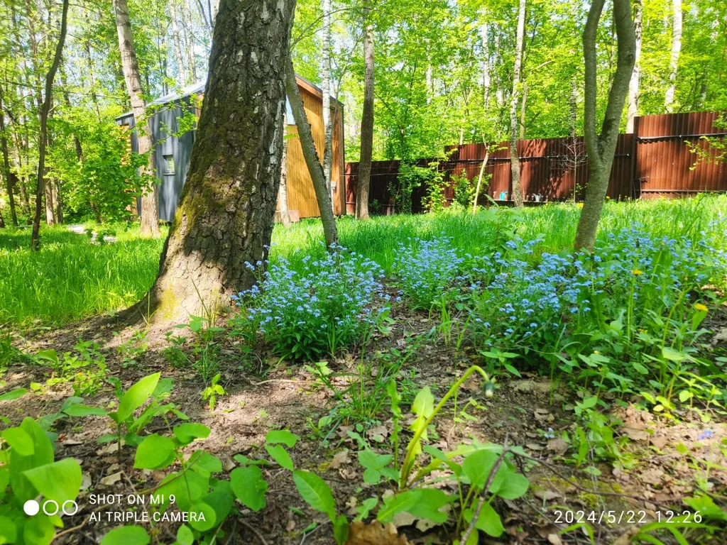 Стильный дом с лесной территорией, недалеко пруд с пляжем