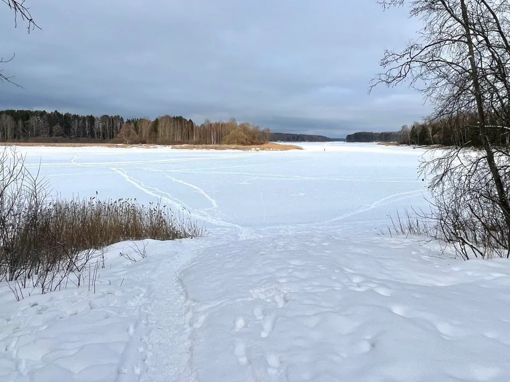 Стильный барнхаус в тихом месте