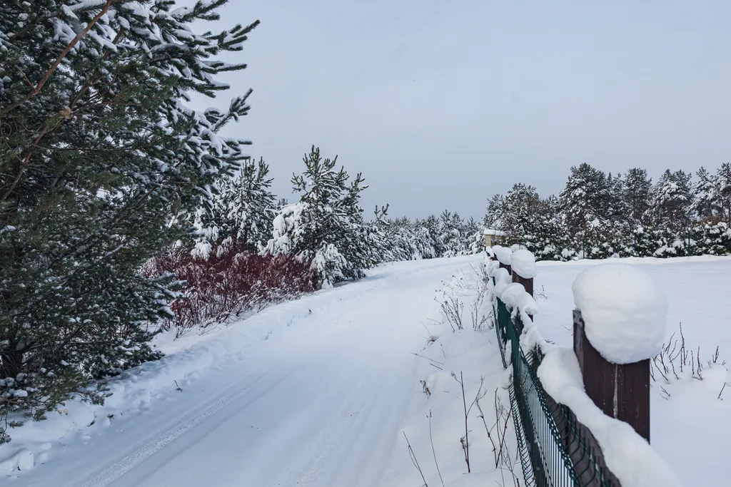 Гостевой дом на берегу лесного озера